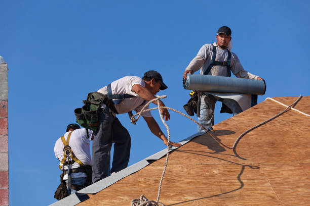 Best Roof Leak Repair  in Albers, IL