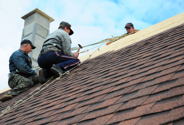 Best Roofing Contractor Near Me  in Albers, IL